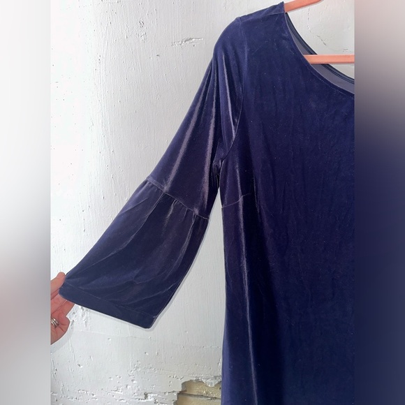 Ann Taylor Velvet Dress - Picture 3 of 3
